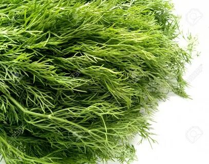تصویر 6 از قیمت شوید خشک سرگل ممتاز + ارسال سریع